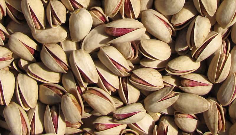 پسته کله قوچی رفسنجان اصالت باغ‌های پسته در هر دانه